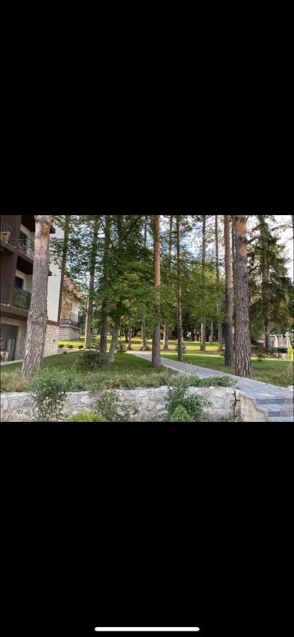 Titova Vila Zlatibor Mountain View Apartment Kültér fotó